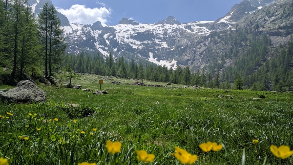 Biodiversità in Val Vermenagna e Val Gesso - Perché qui c'è tanta ricchezza?